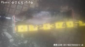 �����ʥ�