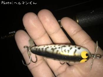 �Х��륢���ʥͥ���