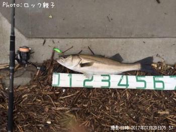 �����Х�