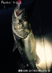 �����Х�