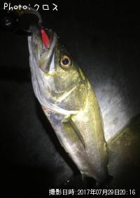 �����Х�