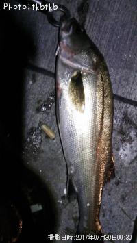 �����Х�