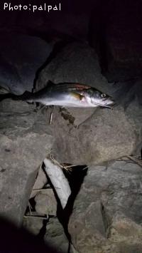 �����Х�