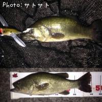 ¥Ö¥é¥Ã¥¯¥Ð¥¹