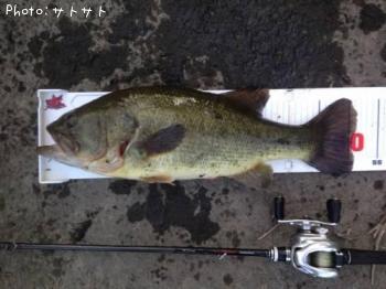 �֥�å��Х�