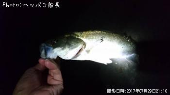 �����Х�