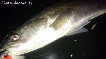 �����Х�