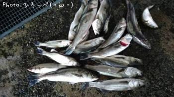 �����Х�