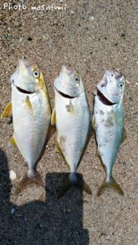 �֥���ҥ�ޥ��λ�