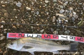 �����Х�