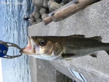 �����Х�