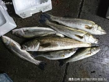 �����Х�