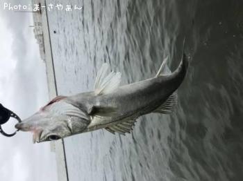 �����Х�