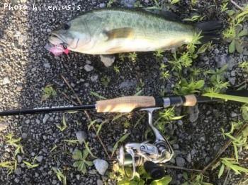 ¥Ö¥é¥Ã¥¯¥Ð¥¹