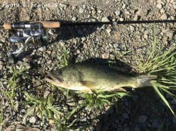 �֥�å��Х�