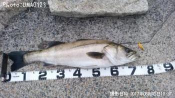 �����Х�