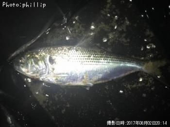 ���Υ���