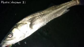 �����Х�