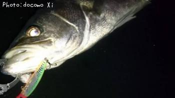 �����Х�