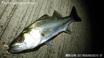 �����Х�