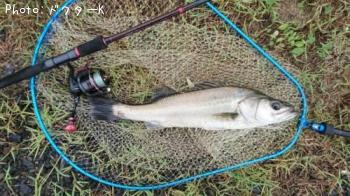 �����Х�