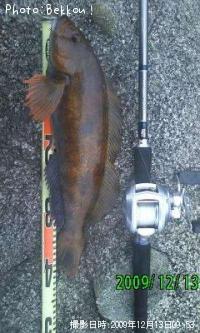 �����ʥ�