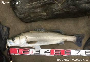 �����Х�