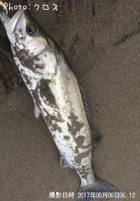 �����Х�