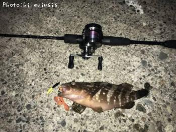 �����ϥ�