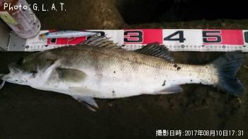 �����Х�