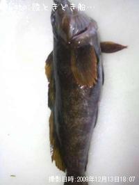 �����ʥ�