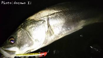 �����Х�