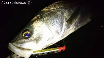 �����Х�