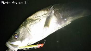 �����Х�