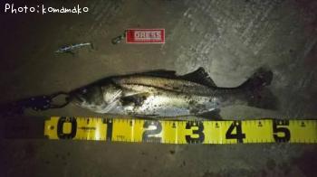 �����Х�