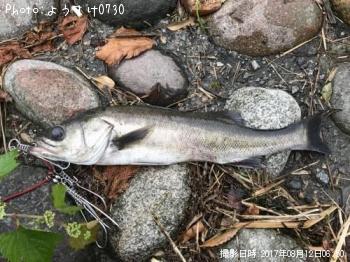 �����Х�