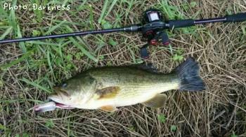 �֥�å��Х�