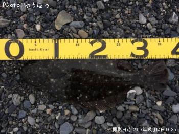 �ҥ��ʥ�����