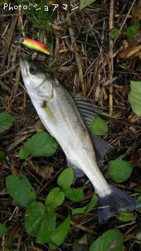 �����Х�