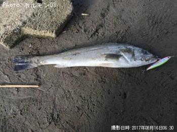 �����Х�