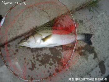 �����Х�