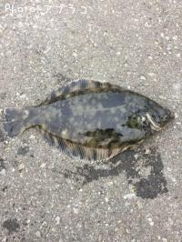 ���������饫�쥤