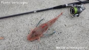 ���ʥ�����