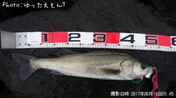 �����Х�