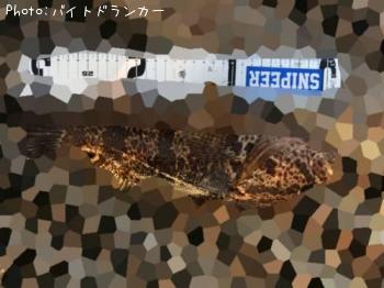 ¥¿¥±¥Î¥³¥á¥Ð¥ë