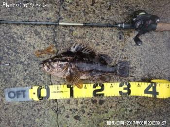 �����Υ���Х�