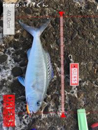 �������ӥ�