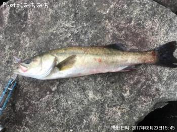 �����Х�