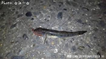 �ޥϥ���