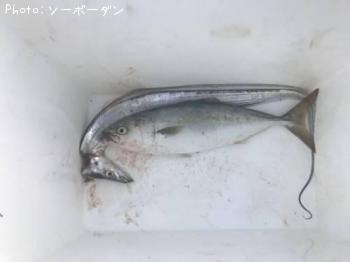 �ĥХ�����������